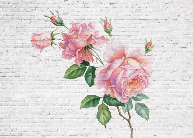 Фотообои Дизайнерская коллекция