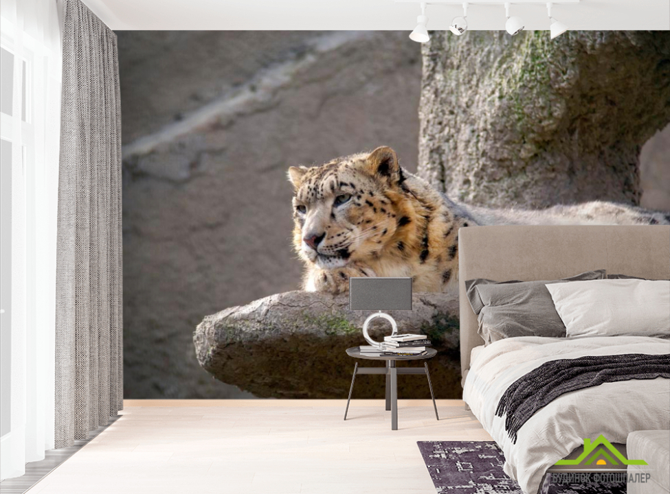 выбрать Фотообои Барс на камне Фотообои Барсы на стену