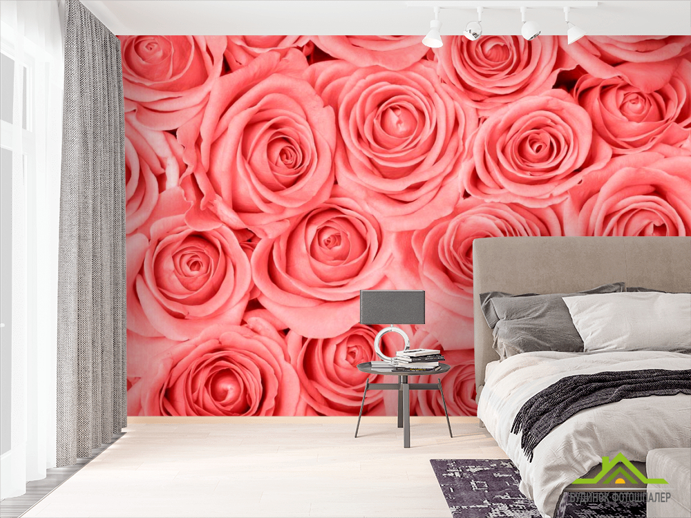 Фотошпалери Кремово-рожеві троянди