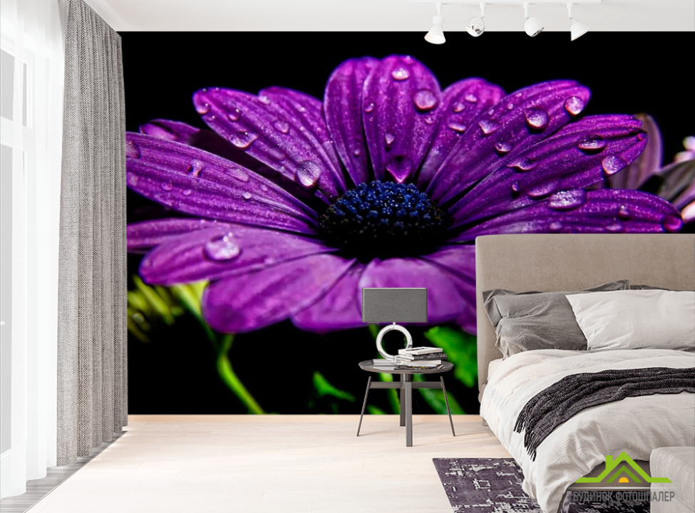 выбрать Фотообои Фиолетовый цветок Фотообои Цветы на стену