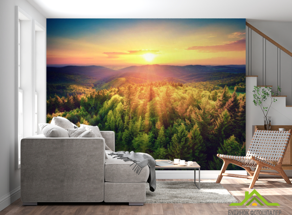 выбрать Фотошпалери захід сонця над сосновим лісом Фотошпалери Природа на стіну