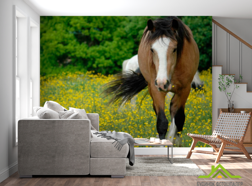 выбрать Фотообои Бег лошади Фотообои Лошади на стену