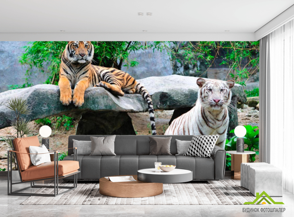 выбрать Фотошпалери Допитливі тигри Фотошпалери Тигри на стіну