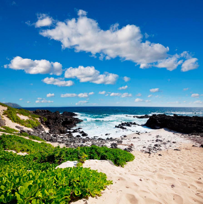 Фотообои Пустынный морской пляж