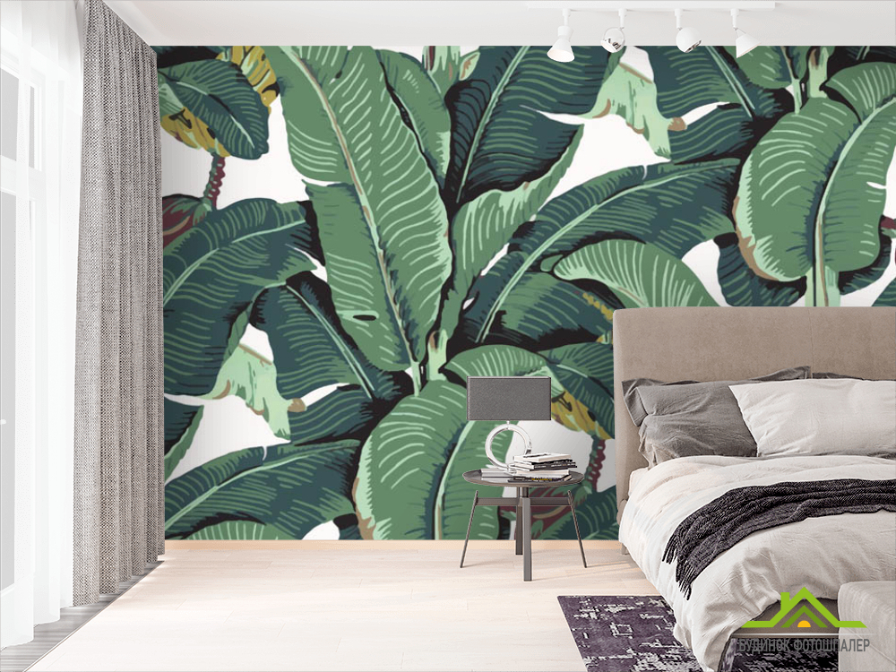 Фотошпалери зелені бананові листя