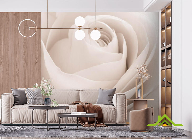 Фотошпалери Роза білосніжна