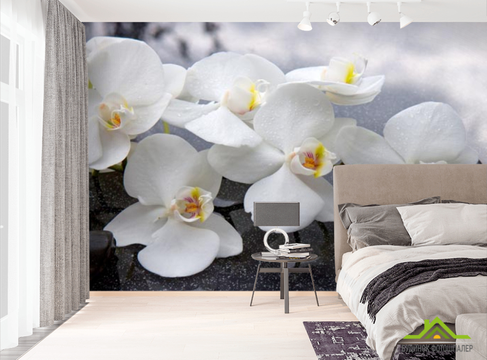 выбрать Фотошпалери білі орхідеї на чорних каменях Фотошпалери Квіти на стіну