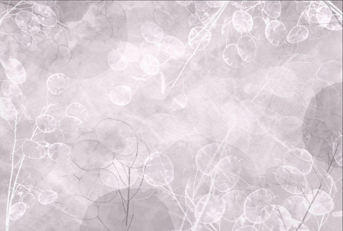 Фотошпалери сухоцвіти дизайнерські рожеві