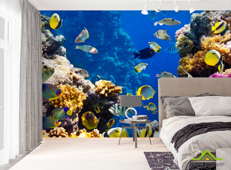выбрать Фотошпалери Смугасті рибки Фотошпалери Риби і море на стіну