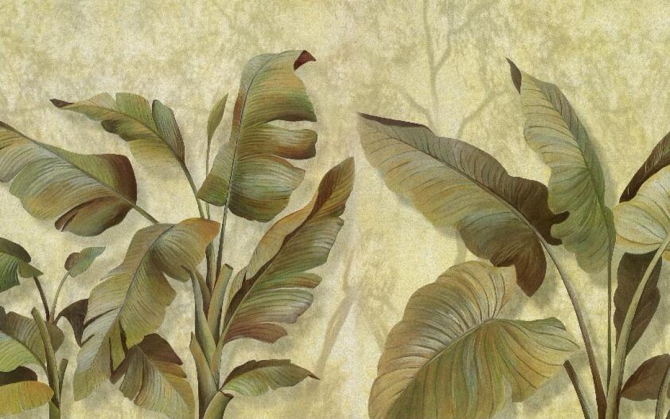 Фотошпалери Бананові листя