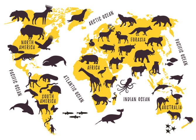 Фотообои Карта с животными