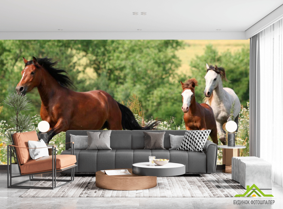 выбрать Фотообои Лошади на лугу Фотообои Лошади на стену