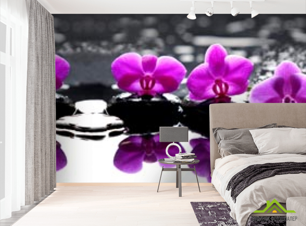 выбрать Фотошпалери фіолетові орхідеї на каменях Фотошпалери Орхідеї на стіну