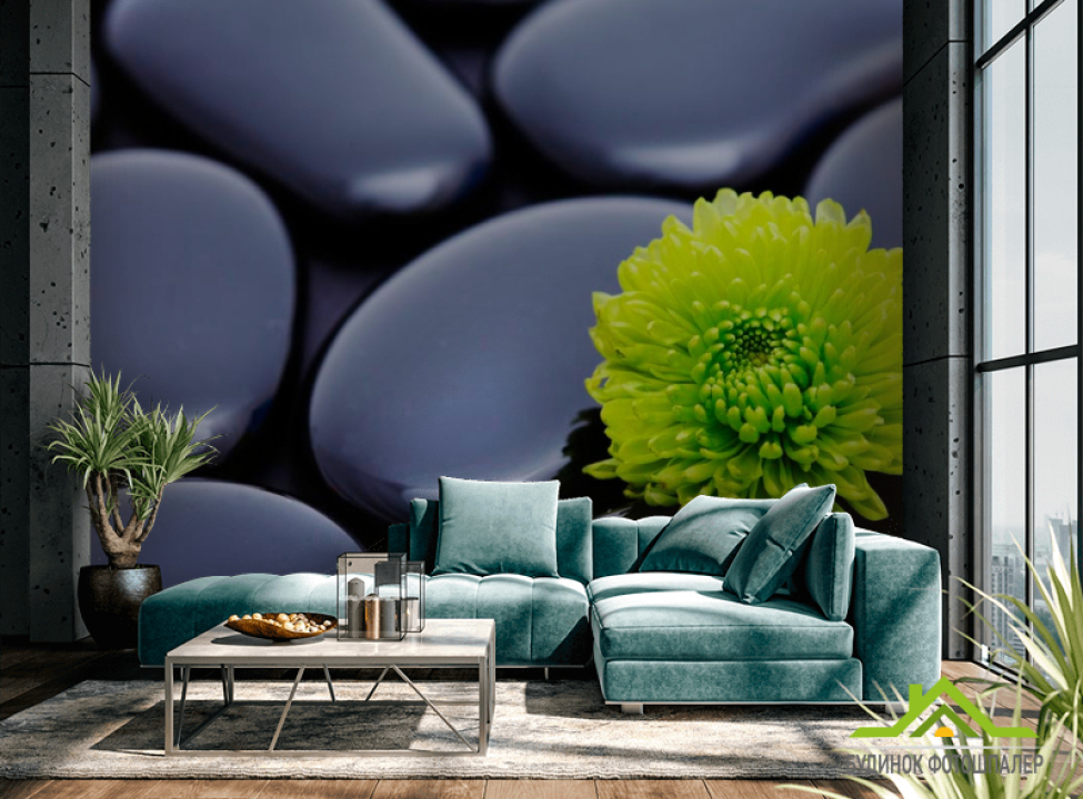 выбрать Фотообои Цветок и камни Фотообои Цветы на стену