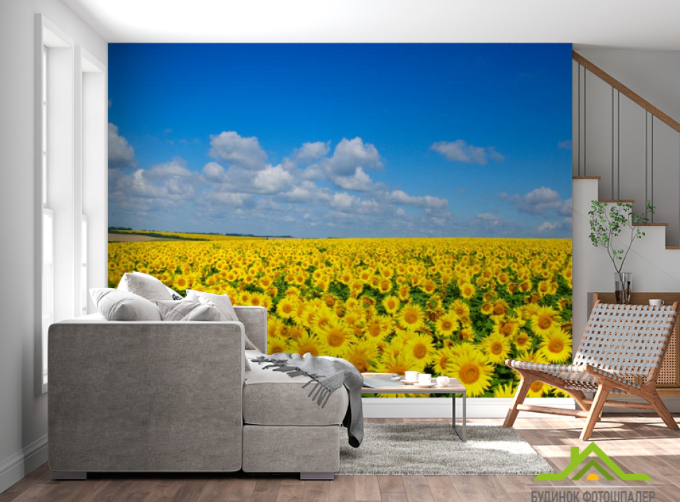 выбрать Фотошпалери соняшники і блакитне небо Фотошпалери Квіти на стіну