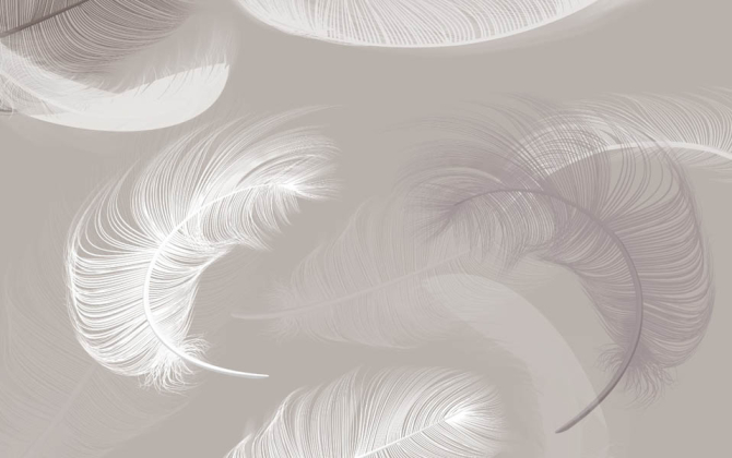 Фотообои Перья на бежевом фоне