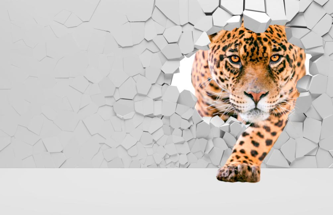 Фотошпалери 3 д тигр