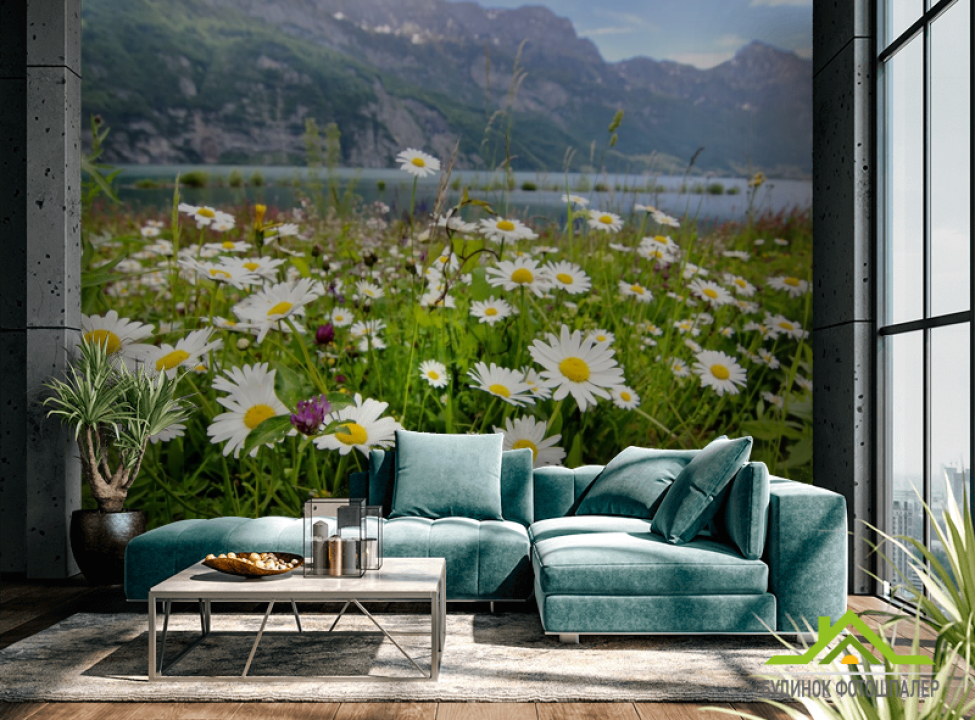выбрать Фотошпалери ромашки в горах Фотошпалери Природа на стіну