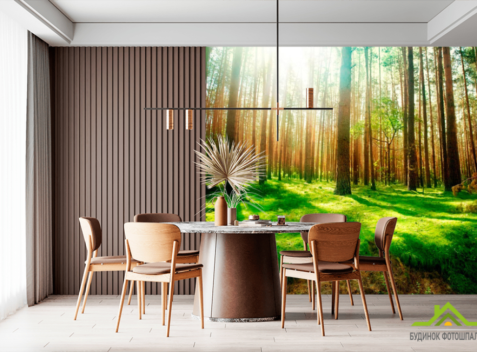выбрать Фотообои Сосновые деревья Фотообои лес на стену