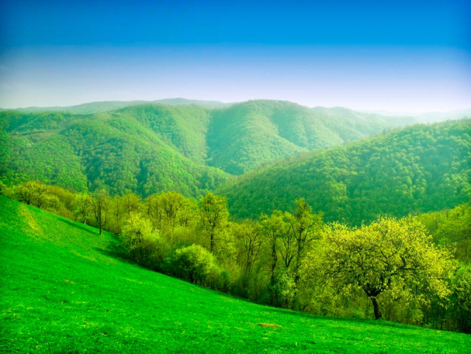 Фотошпалери Килим в горах