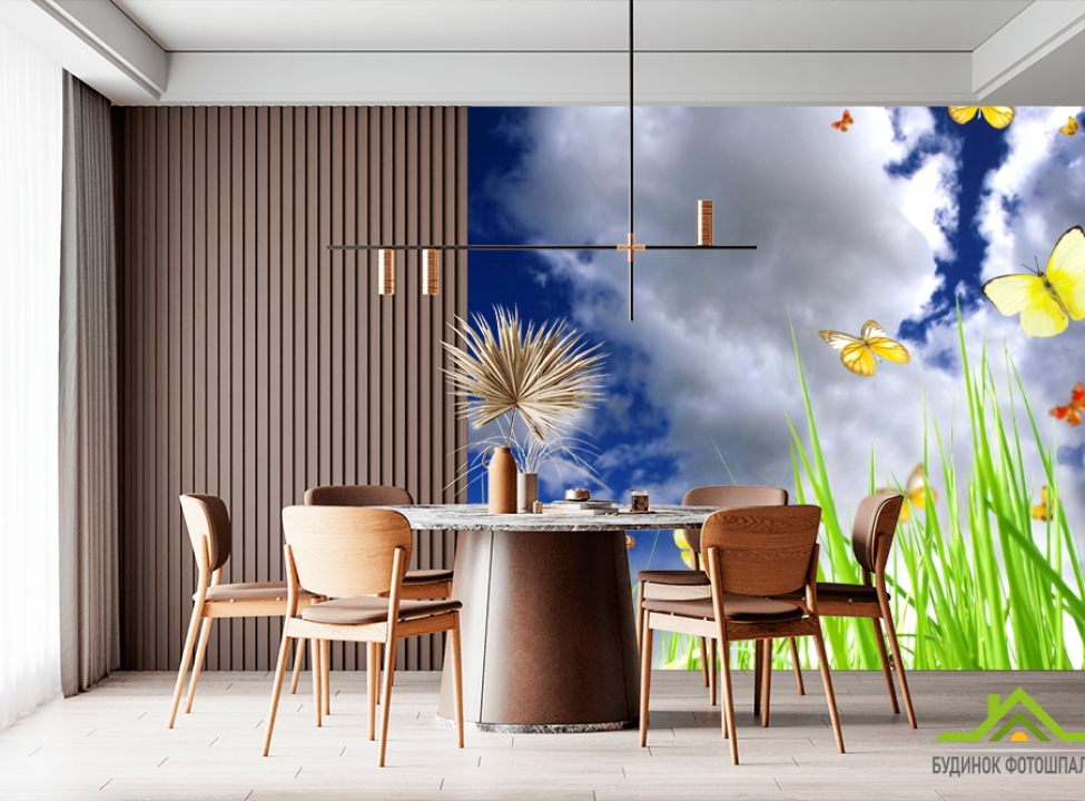 выбрать Фотошпалери небо з метеликами над травою Фотошпалери на шафу купе на стіну