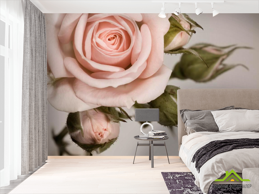 Фотошпалери Кремові троянди і бутони