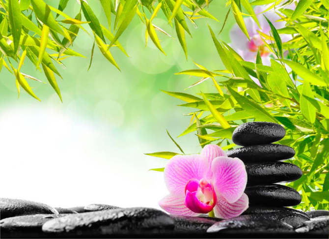 Фотошпалери Рожеві квіти