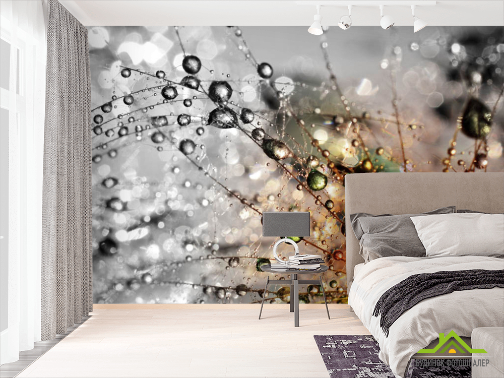 Фотообои Одуванчик с росой