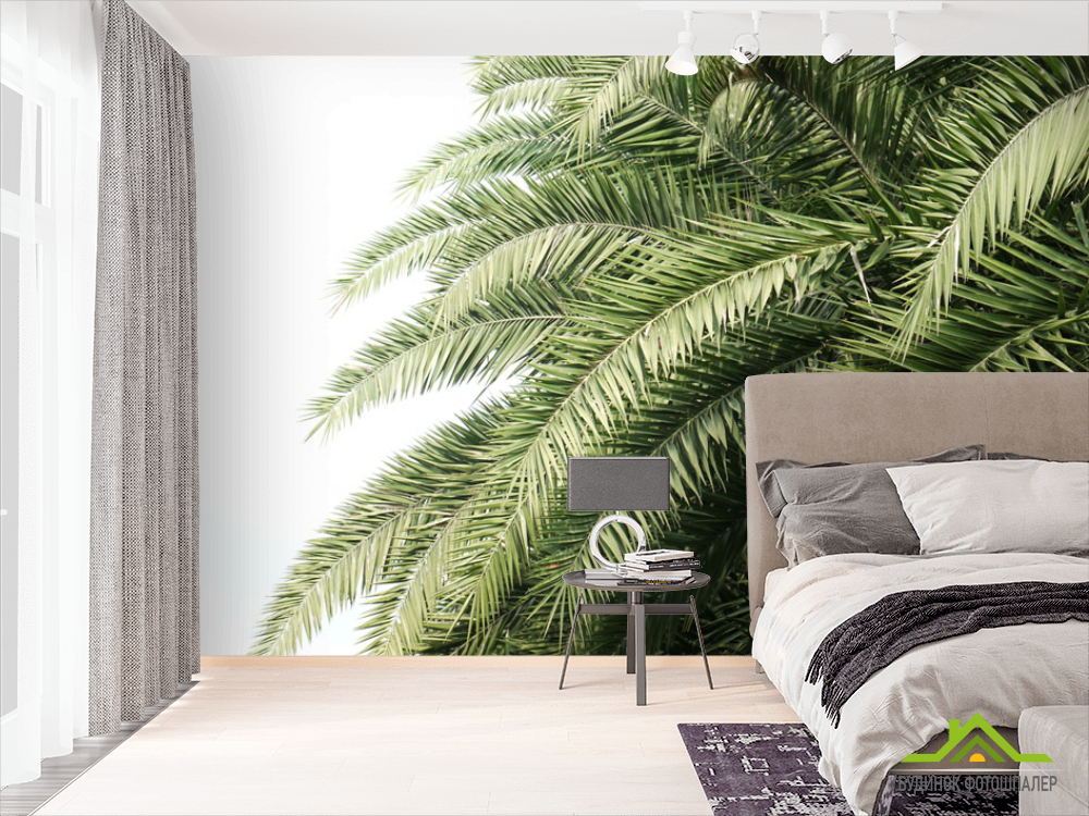 Фотообои Пальмовые ветки