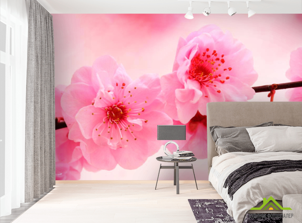 выбрать Фотошпалери Розпустилася вишня Фотошпалери Вишня на стіну