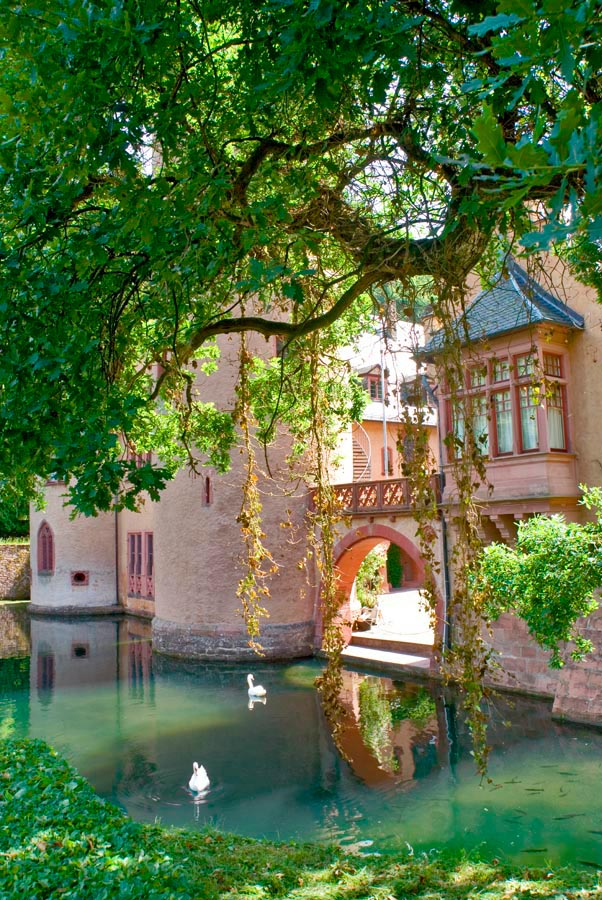 Фотообои Замок с прудом