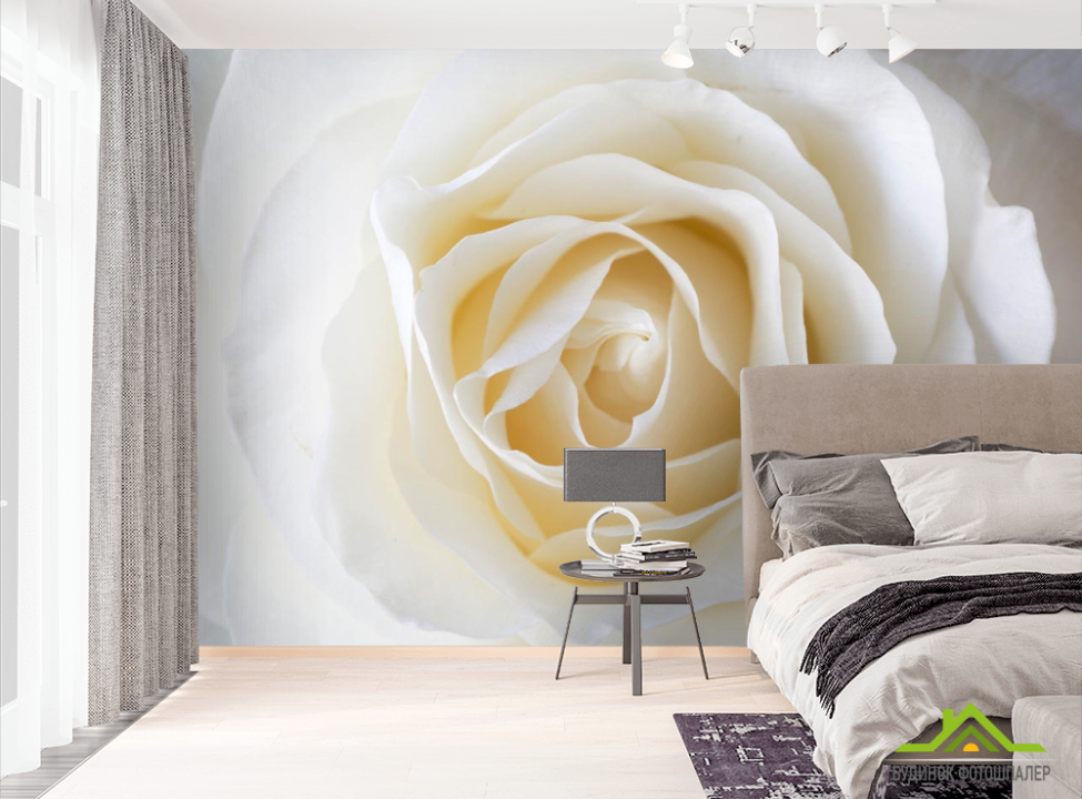 выбрать Фотошпалери біла троянда Фотошпалери Троянди на стіну