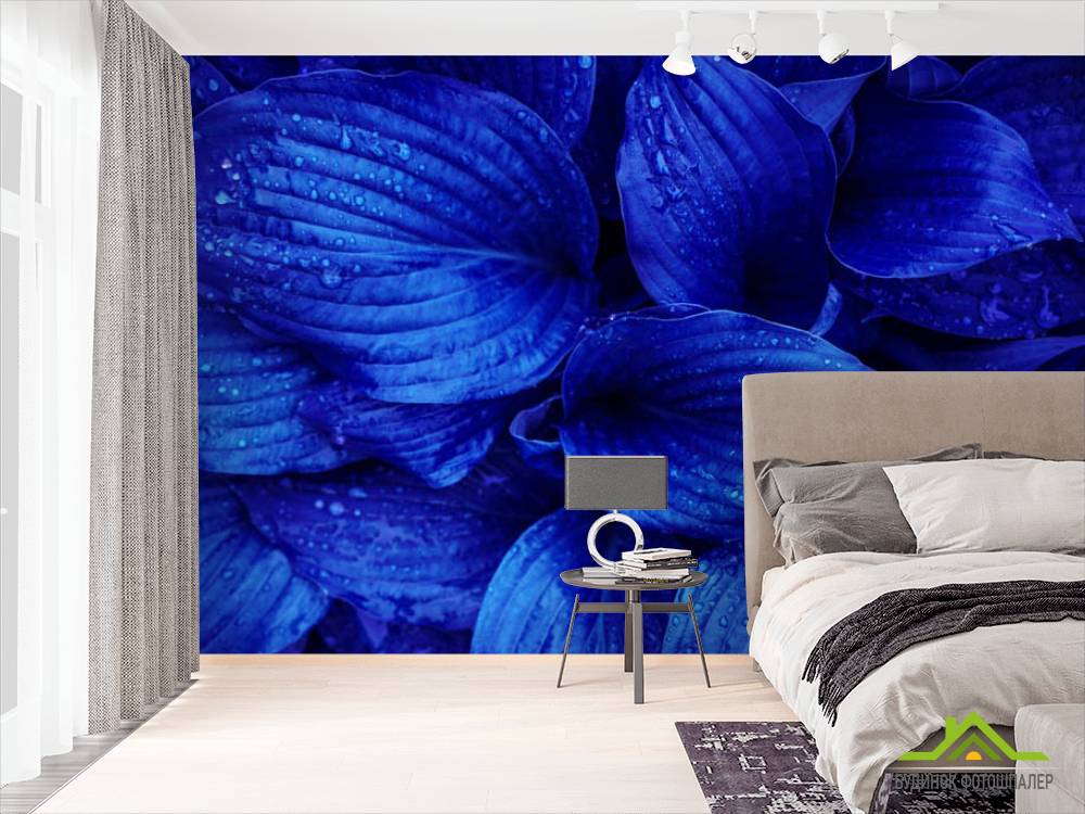 Фотошпалери сині листя