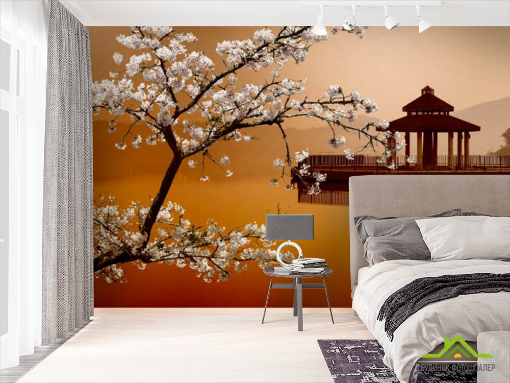 Фотообои сакура