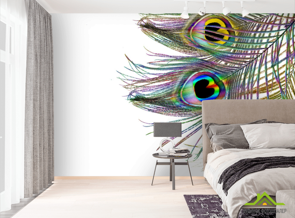 выбрать Фотообои Перья павлина Фотообои перья на стену