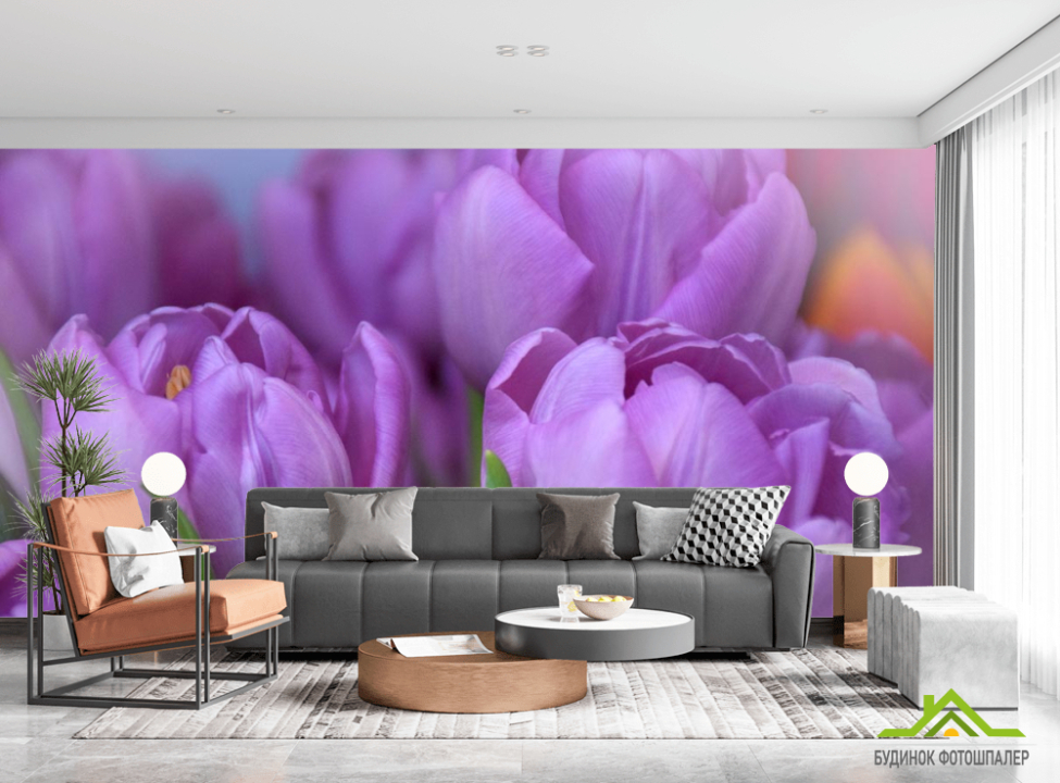 выбрать Фотообои фиолетовый тюльпан Фотообои Цветы на стену