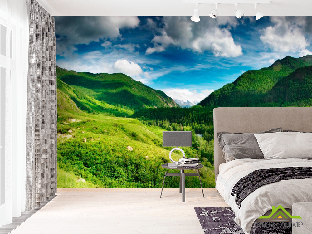 Фотообои Лесные виды