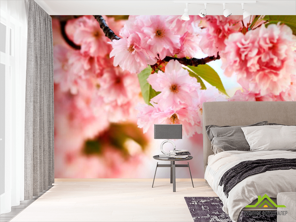 Фотошпалери Гілка ніжно-рожевих квітів