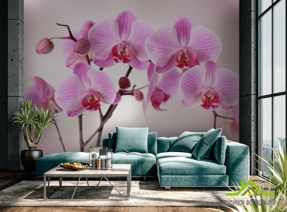 выбрать Фотообои сиреневые орхидеи из воды Фотообои Орхидеи на стену