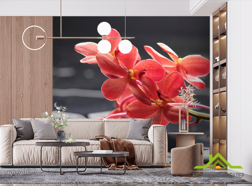 выбрать Фотошпалери Коралові квіти Фотошпалери Квіти на стіну