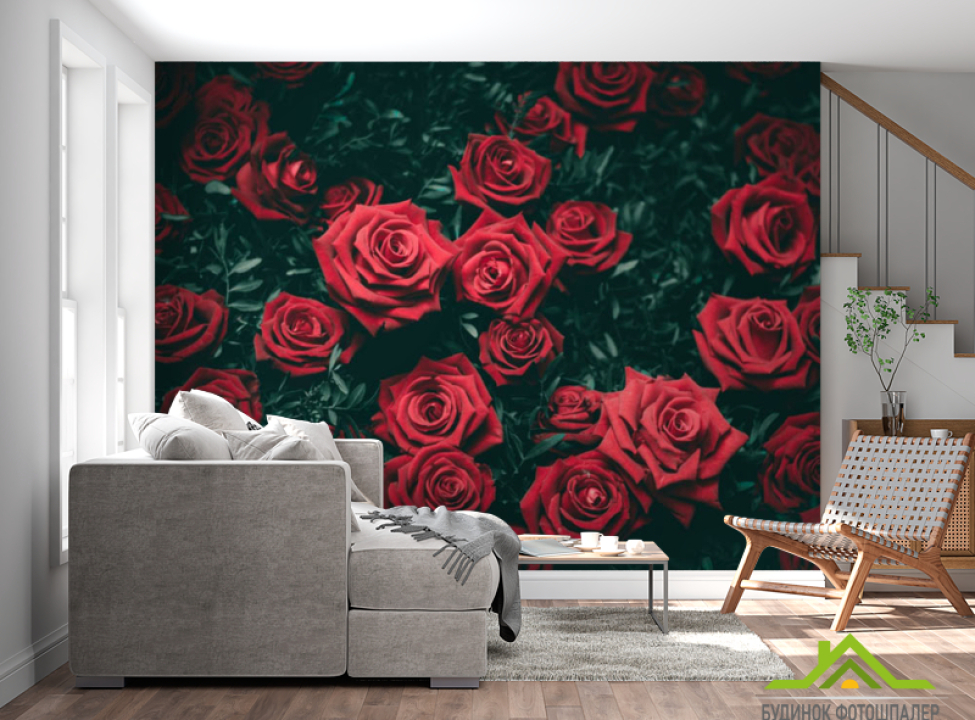 выбрать Фотообои розы Фотообои разные на стену