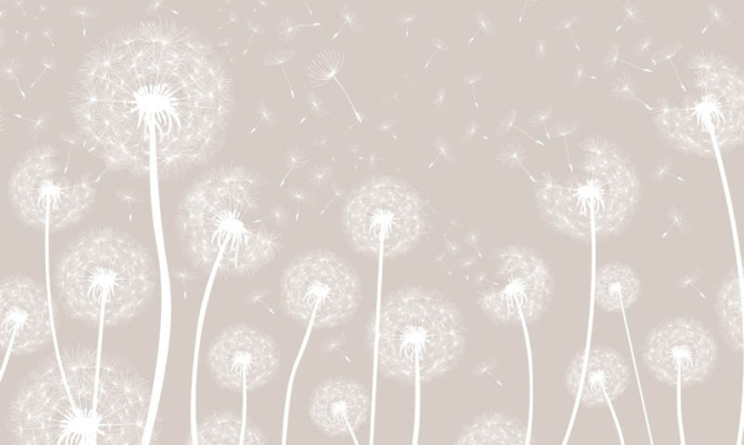 Фотошпалери кульбаби бежеві