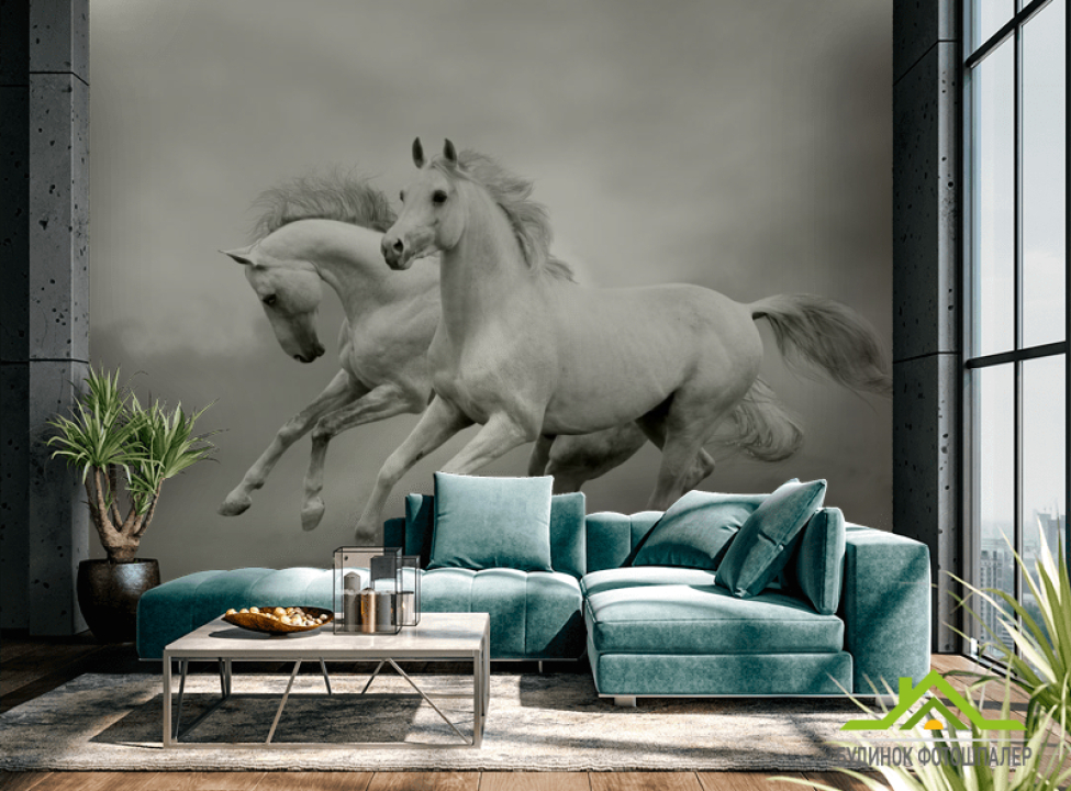 выбрать Фотообои Белоснежные скакуны Фотообои Лошади на стену