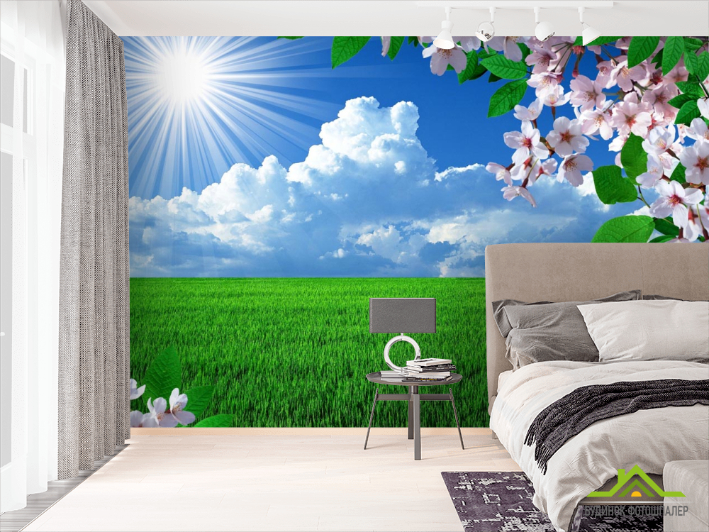 Фотообои абрикосовый цвет над зеленым полем