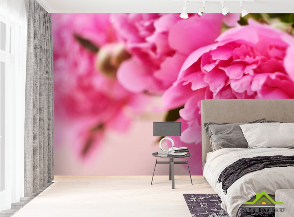 выбрать Фотошпалери рожевий піон Фотошпалери Квіти на стіну