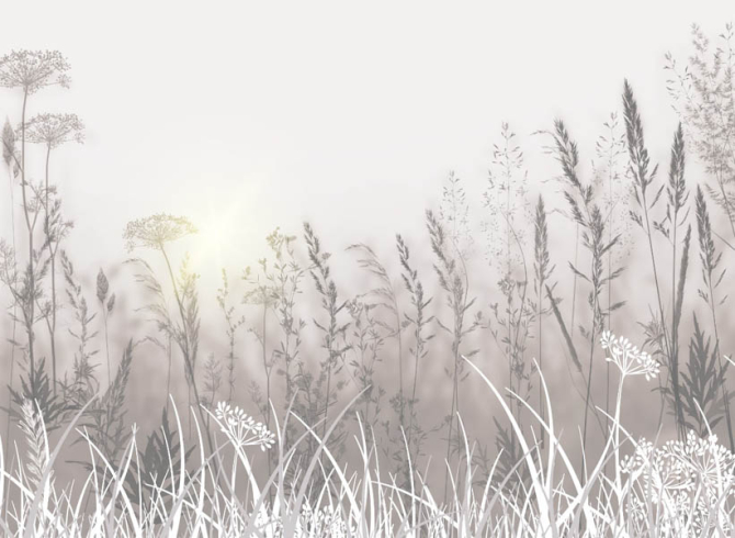 Фотошпалери сухоцвіти в постільних тонах