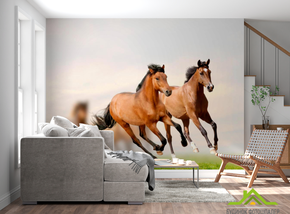 выбрать Фотообои Скачущие кони Фотообои Лошади на стену