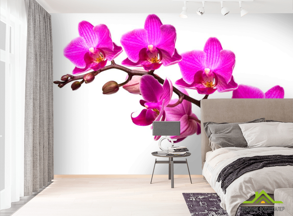 выбрать Фотошпалери Гілка малинових орхідей Фотошпалери Орхідеї на стіну