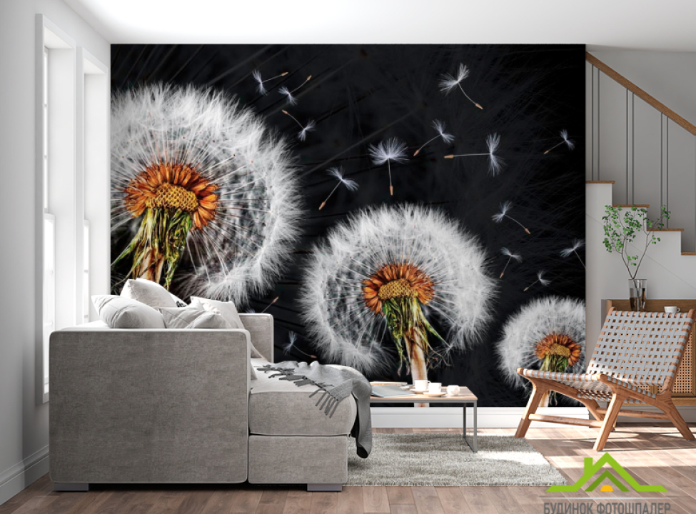 выбрать Фотошпалери Кульбаби Фотошпалери Квіти на стіну