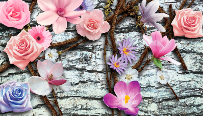 Фотообои Цветы на фоне стены